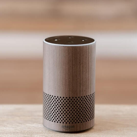 best voice assistant device